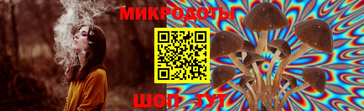 Галлюциногенные грибы MAGIC MUSHROOMS Нальчик